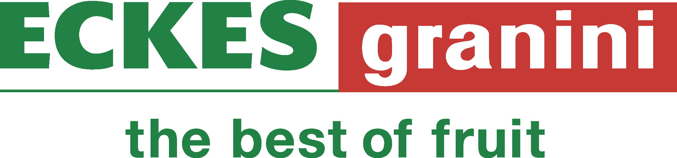 EGD Logo 1
